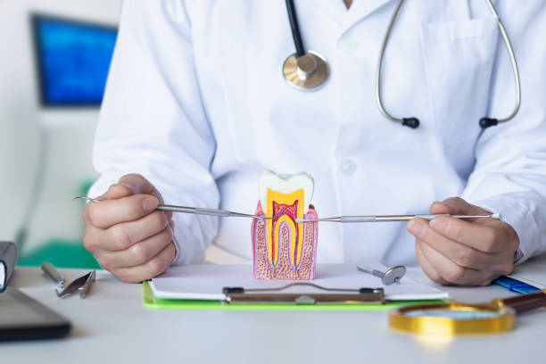 Best Emergency Dental Care for Trauma or Injury in Landing, NJ